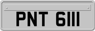 PNT6111