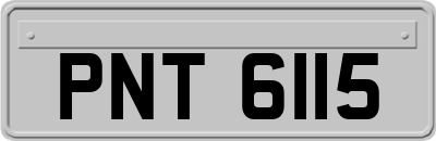 PNT6115