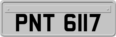 PNT6117