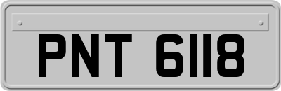 PNT6118