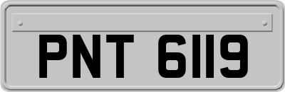 PNT6119