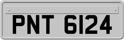 PNT6124