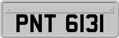 PNT6131