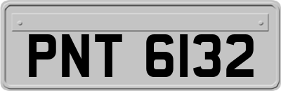 PNT6132