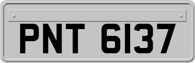 PNT6137