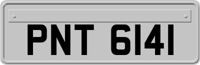 PNT6141