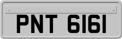 PNT6161