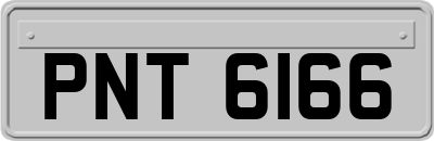 PNT6166