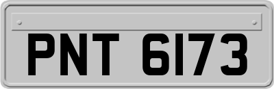 PNT6173