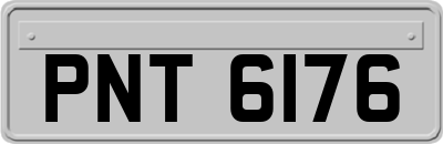PNT6176