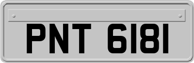 PNT6181