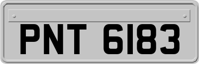 PNT6183