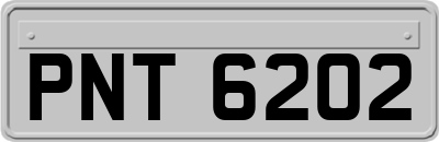 PNT6202