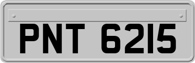 PNT6215