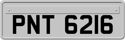 PNT6216