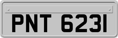 PNT6231