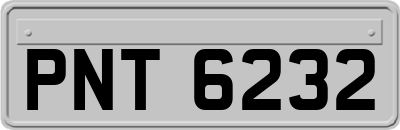 PNT6232