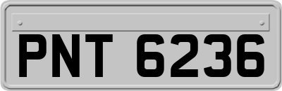 PNT6236