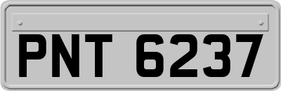 PNT6237