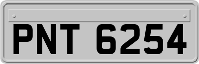 PNT6254