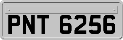 PNT6256