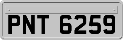 PNT6259