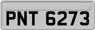 PNT6273