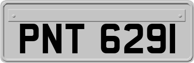PNT6291
