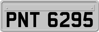 PNT6295