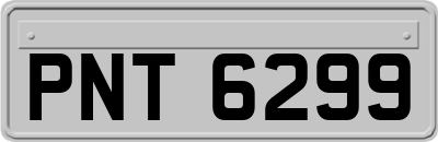 PNT6299