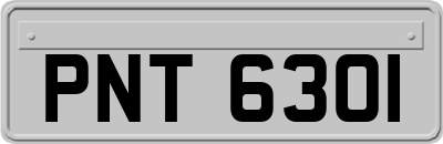 PNT6301