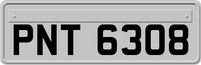 PNT6308