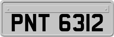 PNT6312