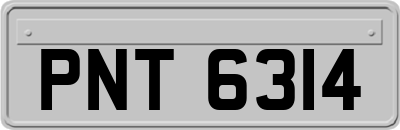 PNT6314