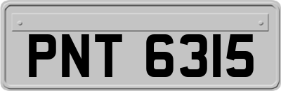 PNT6315