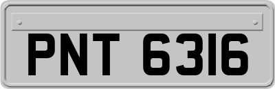 PNT6316