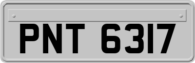 PNT6317