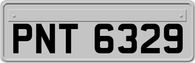 PNT6329