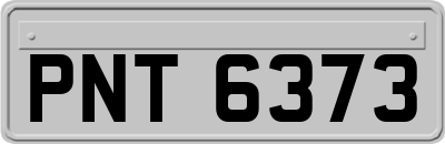 PNT6373