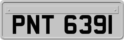 PNT6391