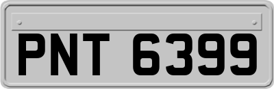 PNT6399