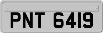 PNT6419