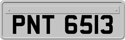 PNT6513