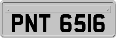 PNT6516