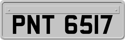 PNT6517