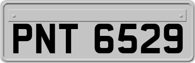 PNT6529