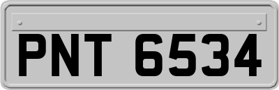 PNT6534