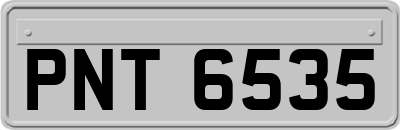 PNT6535