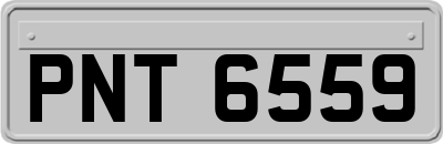 PNT6559