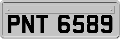 PNT6589